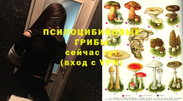 герыч Вязьма