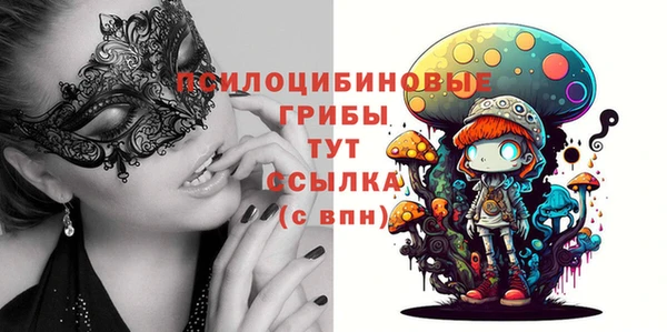 Альфа ПВП Вяземский