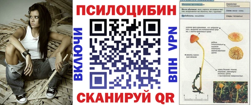 Галлюциногенные грибы MAGIC MUSHROOMS  Верея 